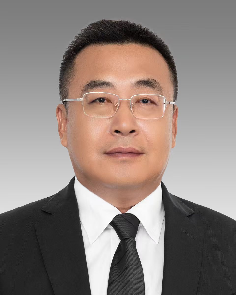 周鹏 老边区委副书记、区政府党组书记、区长